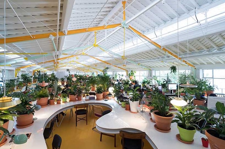 Không gian làm việc xanh là xu hướng thiết kế văn phòng hiện đại